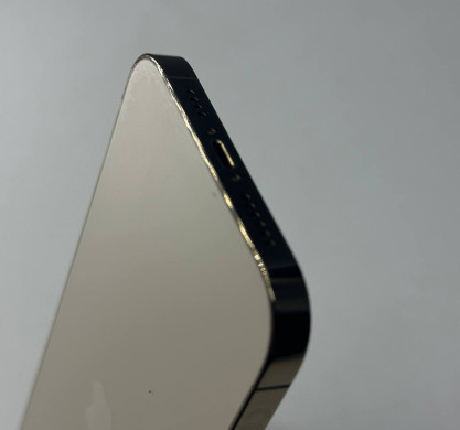 iPhone 12 Pro Max 256GB Gold 100%